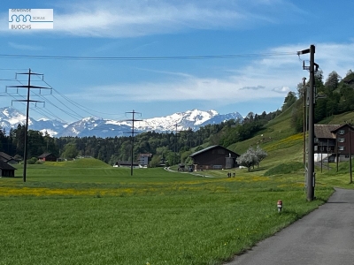 Orientierungslauf 2026 – Ein Tag voller Bewegung, Köpfchen und Teamgeist