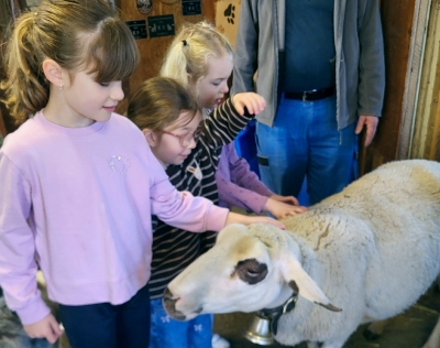 Besuch bei den Schafen